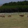 7 dan - Kusadasi-Izmir-Istanbul_170